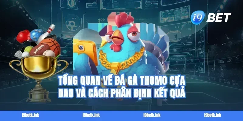 Tổng quan về đá gà Thomo cựa dao và cách phân định kết quả