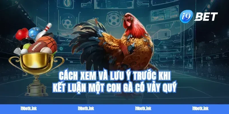 Cách xem và lưu ý trước khi kết luận một con gà có vảy quý